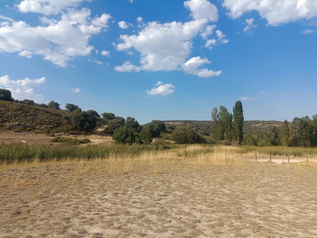 Galería Aldea El Jardín